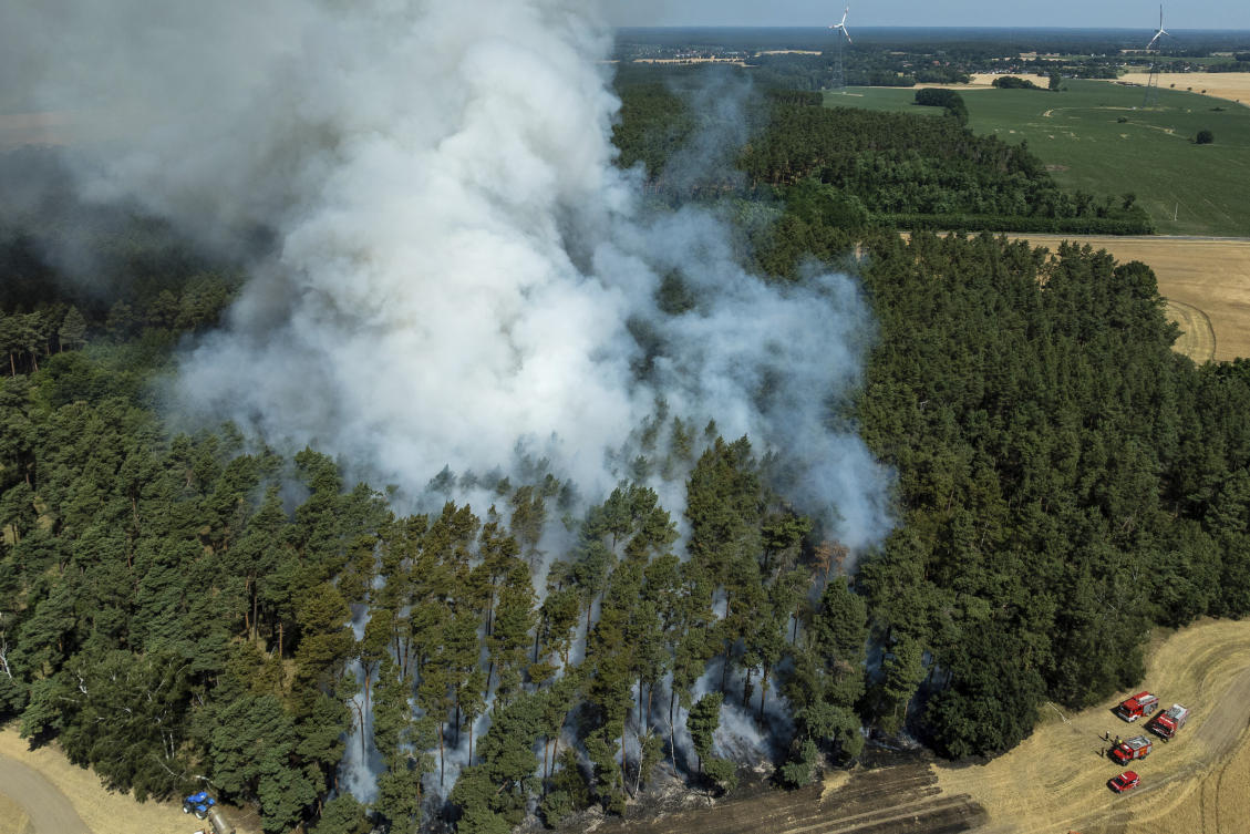 Firefighters gather to fight a fire at the edge of a grain field near Brandenburg, July 2, 2025. (AP)