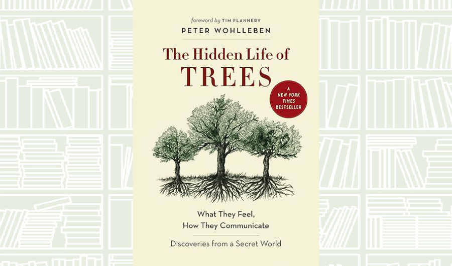 Book Review: ‘The Hidden Life of Trees’ by Peter Wohlleben