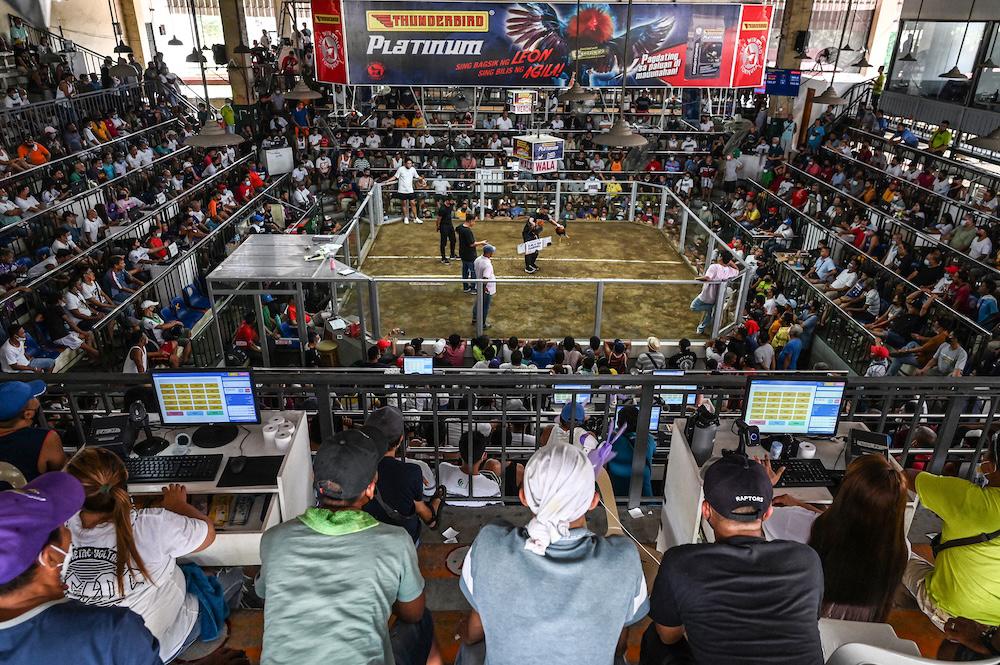 Cockfighting arenas are found prominently in far-flung rural towns and major cities across the Philippines and draw large numbers of aficionados. (AFP file photo)