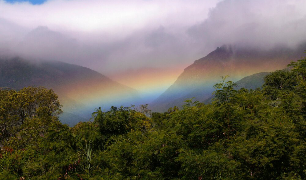 UNESCO will announce its choice of sites for inclusion in its world heritage list this week, with pre-historic caves, former centers of repression, forests, marine bio-systems and others vying for the coveted spots. (UNESCO)