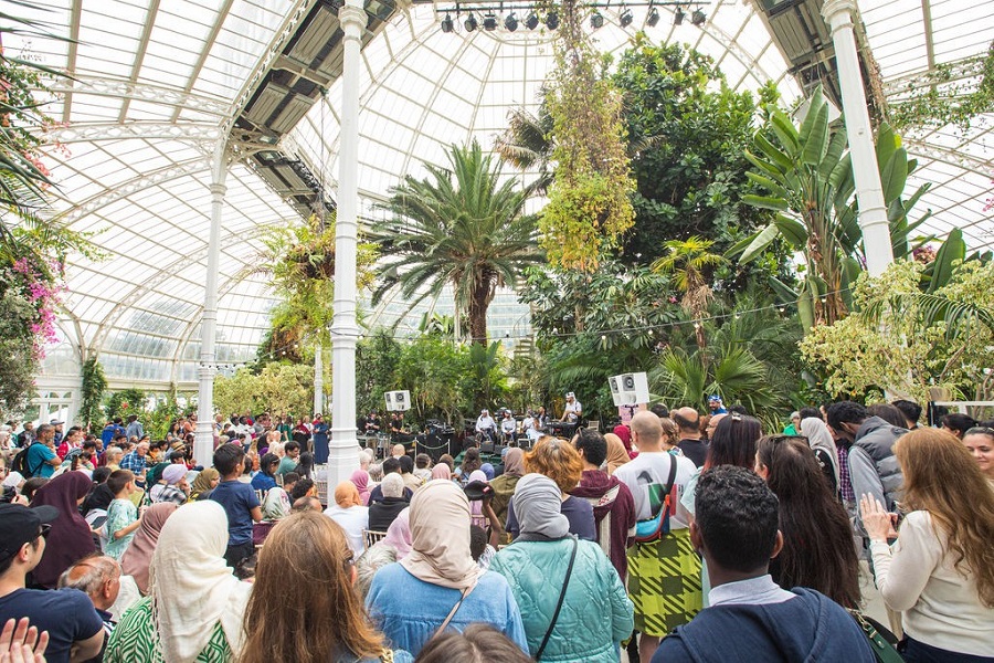 Now two decades in, the festival has grown from grassroots beginnings into an internationally recognized celebration. (Supplied)