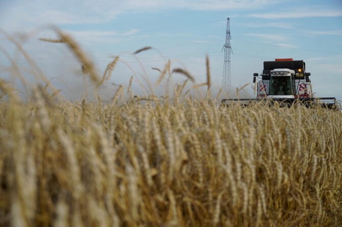 France could struggle to sell a much bigger wheat crop expected this year as export options for the European Union's top wheat producer have narrowed due to less demand from Algeria and China as well as strong competition from cheaper Black Sea grain. (AFP/File)