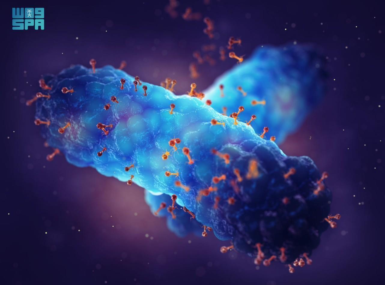 It focuses on bacteriophage technology as a biological alternative to traditional antibiotics, addressing concerns over antibiotic-resistant bacteria. (SPA)