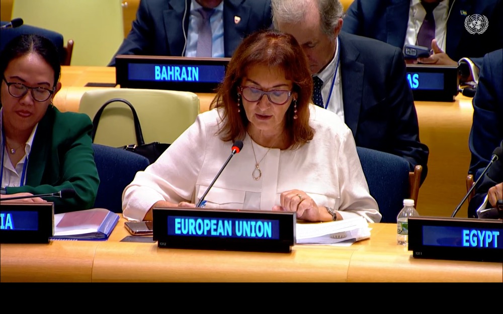 Dubravka Suica, EU’s commissioner for the Mediterranean. (UN Photo)