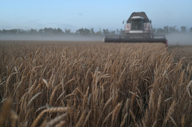 Egypt, Ukraine agree steps to boost grain and sunflower oil trade