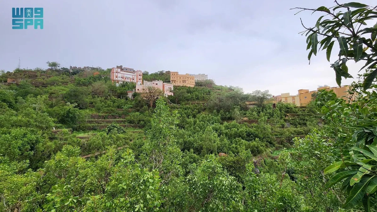 Fayfa mountains: Ideal retreat for nature lovers