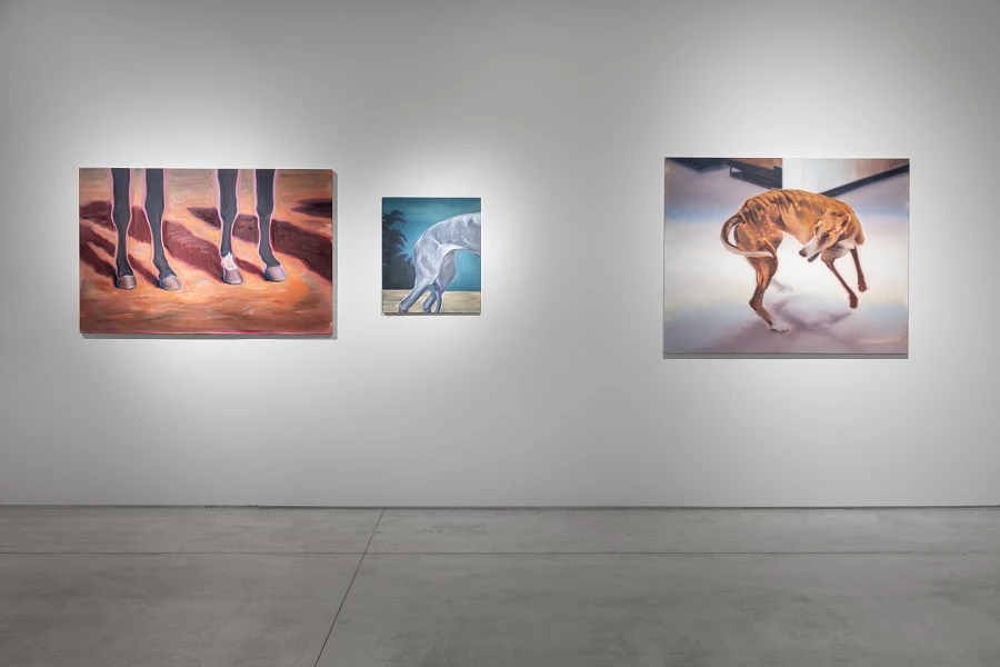 The show presents more than 200 works by 60 contemporary artists from four continents and runs until Jan. 7, 2026. (Supplied)