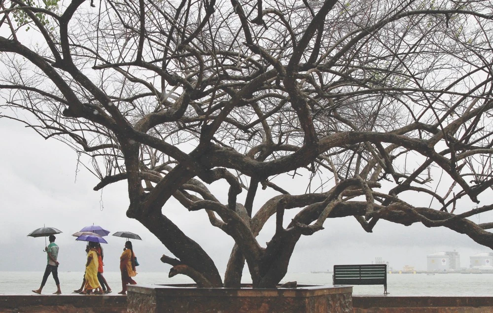 Beachgoers stroll along a beach while holding umbrellas during a rain shower in the southern Indian city of Kochi. (Reuters)