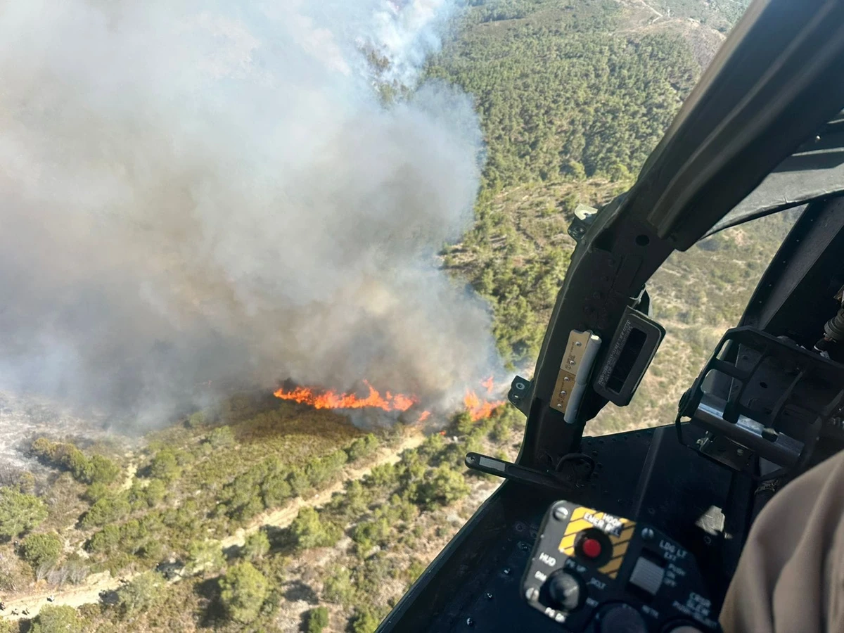 Jordan sent two Black Hawk helicopters with firefighting crews and equipment. (Petra)