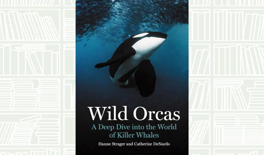 What We Are Reading Today: ‘Wild Orcas’