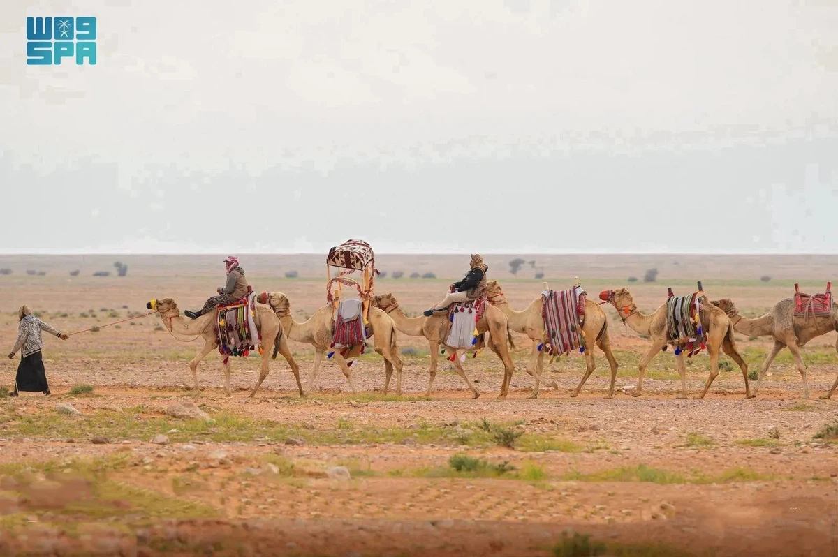 Despite the evolution of modern transportation, the shaddad endures as a unique heritage icon. (SPA)