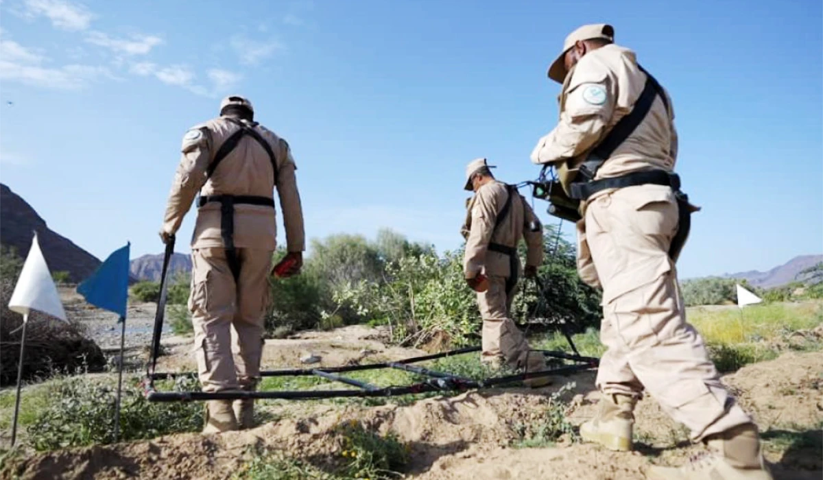 The project trains local demining engineers and provides them with modern equipment. (Supplied)