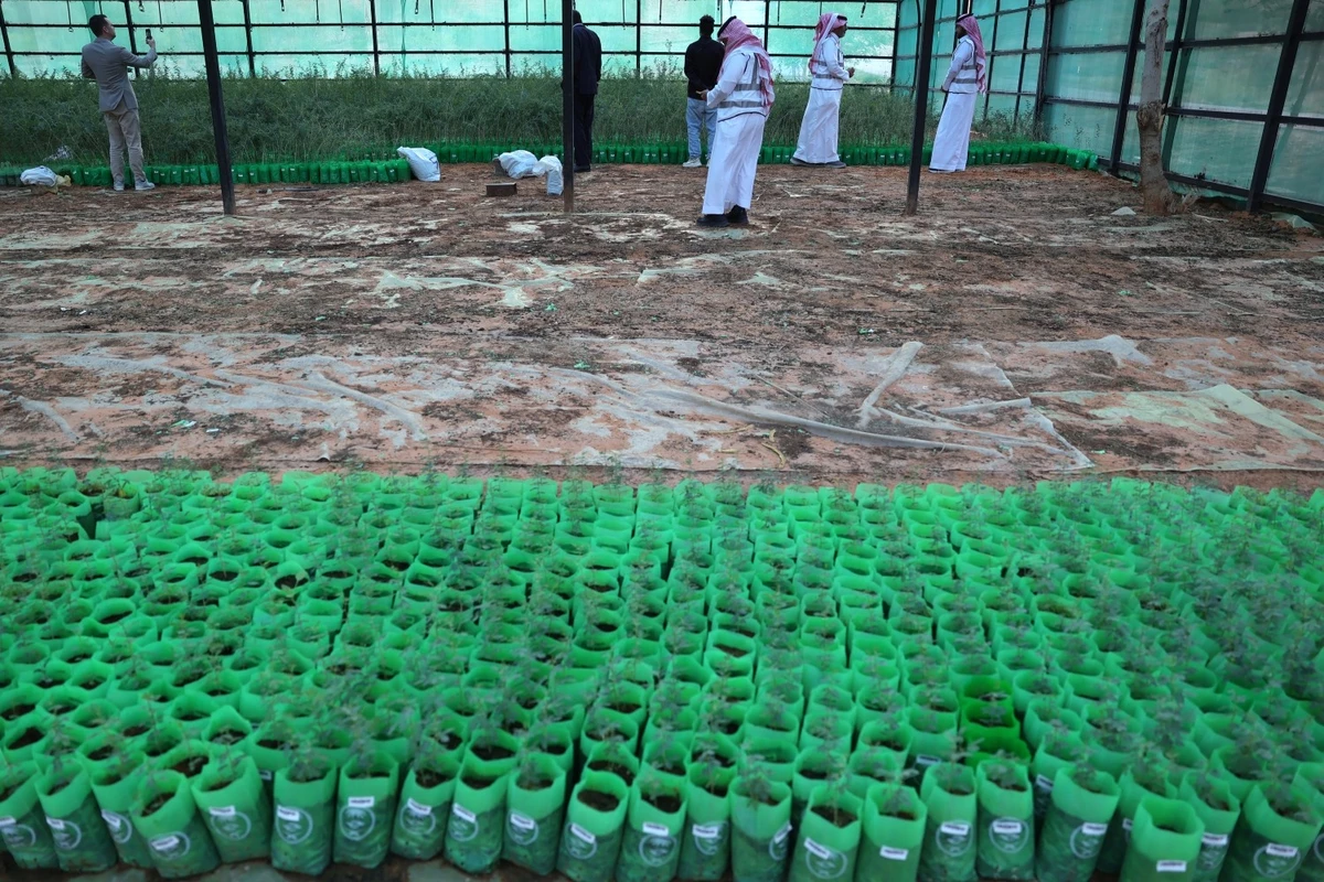 The Saudi Green Initiative includes pledges to plant 10 billion trees and rehabilitate 40 million hectares of degraded land -AFP
