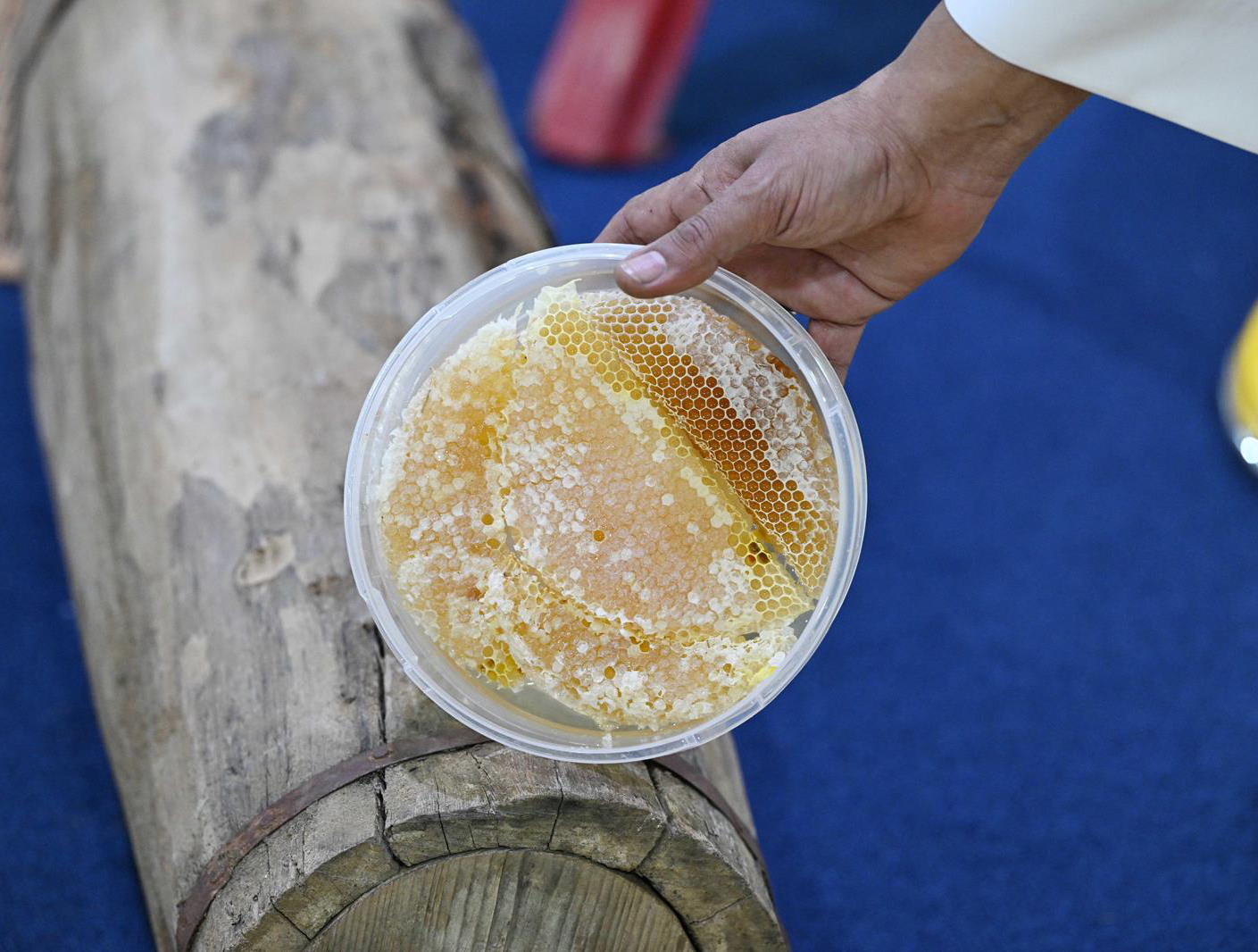 The Cooperative Association of Beekeepers in Tabuk also took part, highlighting the development of the beekeeping profession in the Kingdom. (SPA)