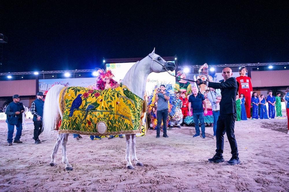 Gold Stallion Champion LUGHAN HVP, wearing the custom winner's blanket at the 2025 Global Champions Arabians Tour in Sao Paulo. (Global Champions Arabians Tour)