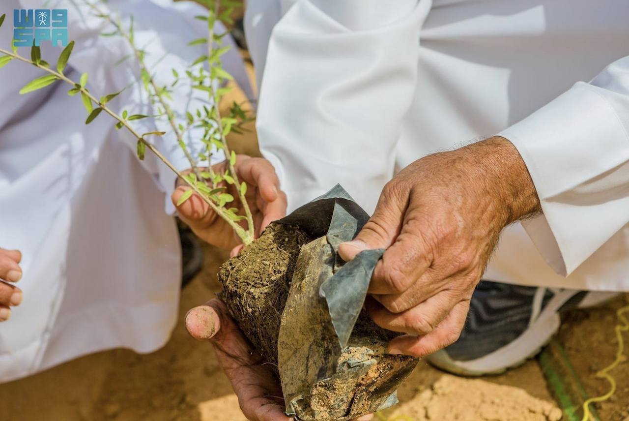 Launched in 2016 with support from Qassim Gov. Prince Faisal bin Mishaal bin Saud and oversight by Minister of Environment, Water and Agriculture Abdulrahman Al-Fadhli, the initiative has grown steadily each year. (SPA)