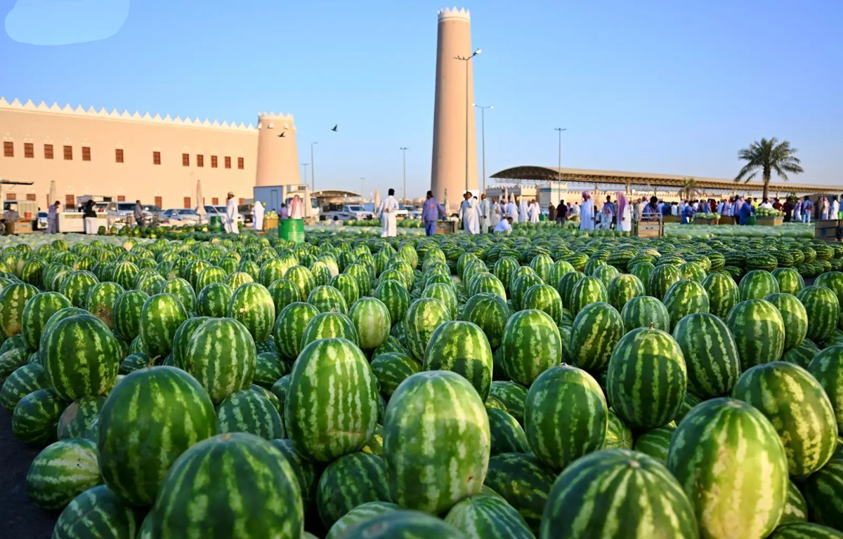 The ministry continues to support the local production of crops through programs aimed at empowering farmers. (SPA)