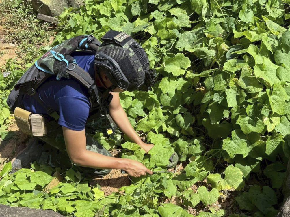 A Thai military engineer on Aug. 4, 2025 removes an anti-personnel mine that Thai authorities allege was planted by Cambodian soldiers in Phu Ma Kheua, a disputed area where the two nations recently clashed. (Thai Army via AP)