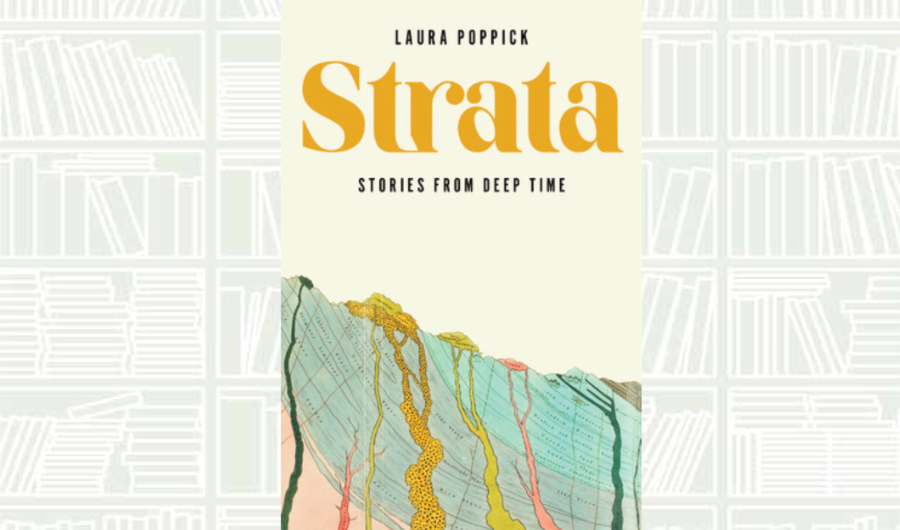 What We Are Reading Today: Strata