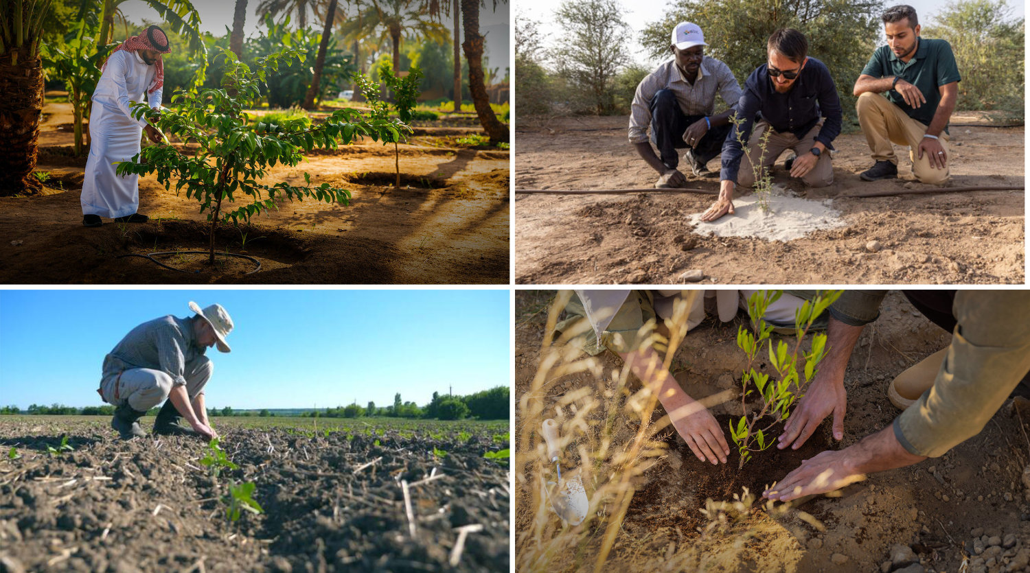 How Saudi Arabia is tackling soil pollution to protect the environment and human health