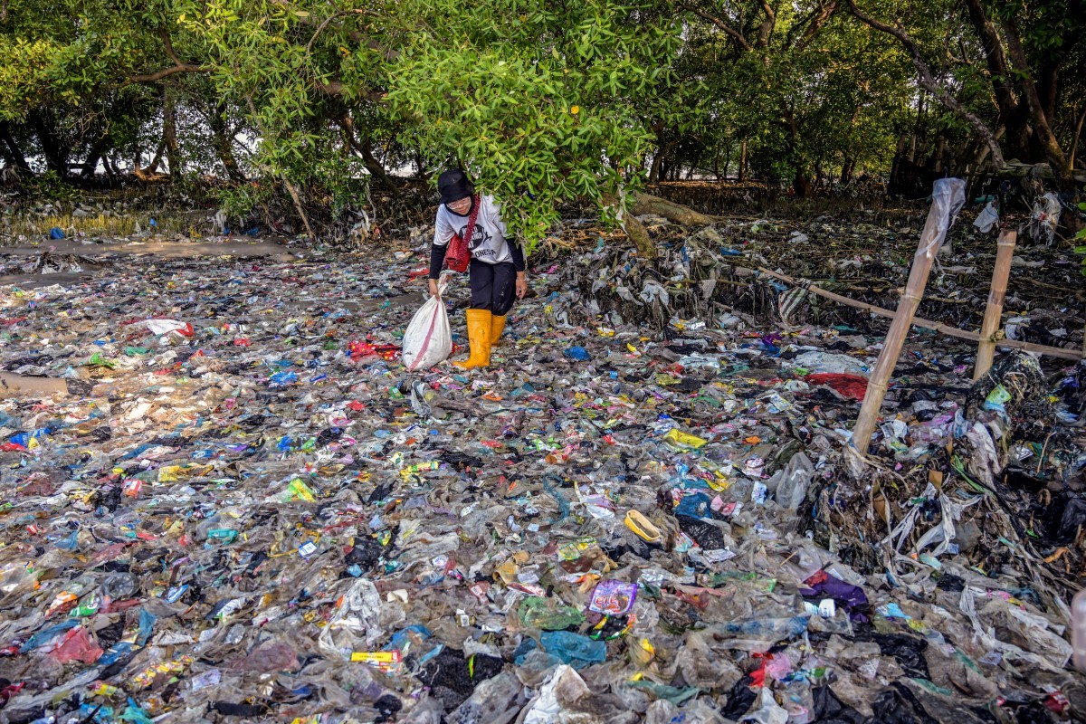 A volunteer from the Ecological Observation and Wetlands Conservation (ECOTON) collects plastic waste from a mangrove swamp in Surabaya. (File/AFP)