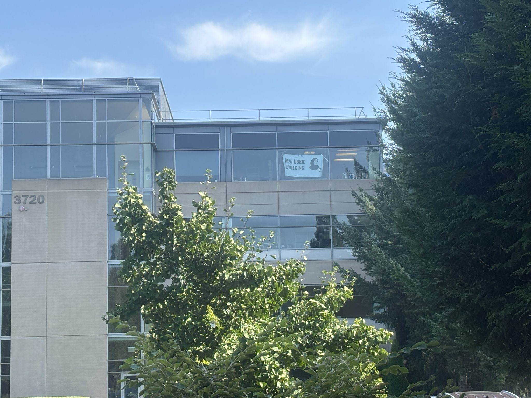 Protestors hung a banner by the Microsoft President's office window that said “Mai Ubeid Building,” in honor of a Palestinian software engineer killed in an Israeli airstrike in Gaza. (Supplied)