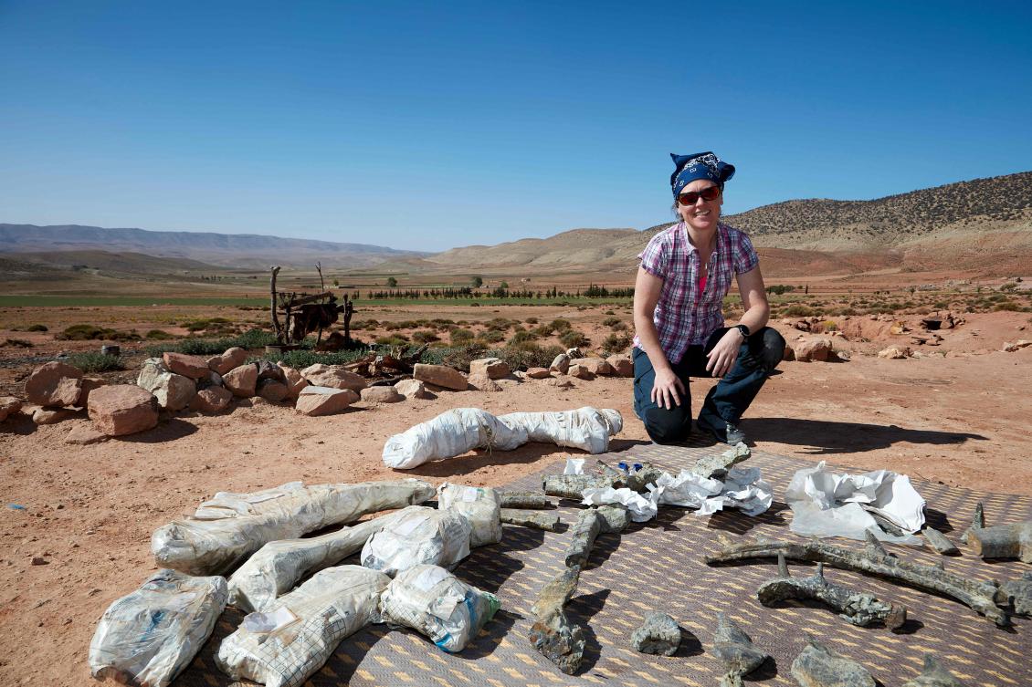‘Strangest’ dinosaur covered in spiked armory: scientists