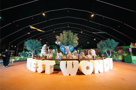 Forest Wonders