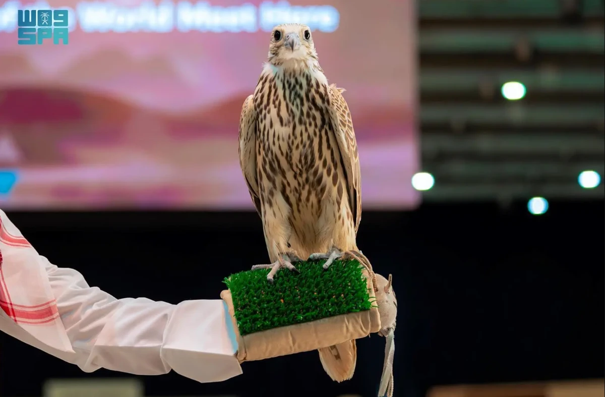 International Falcon Breeders Auction draws experts from Kingdom and abroad