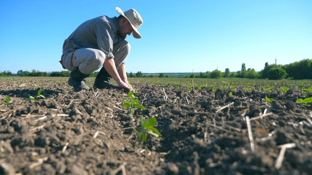 KAUST authors new study on land degradation