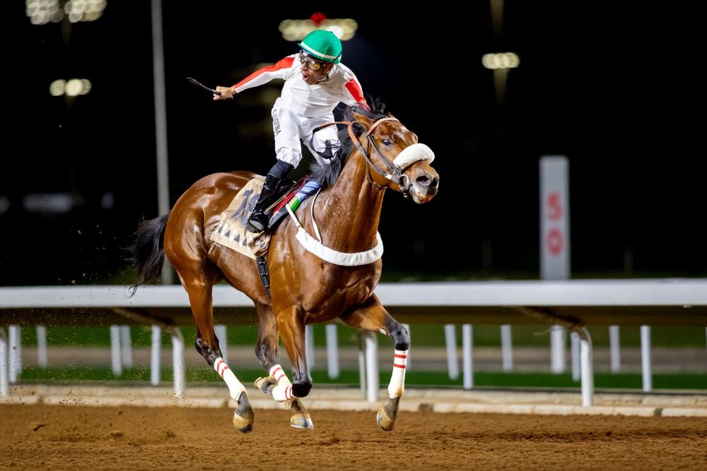 Carmel Road wins the 2024 King Faisal Cup. (JCSA/Ibrahim Almuzaini)