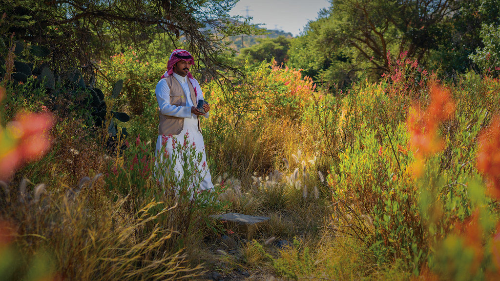 Tree planting patrol in Soudah mountains in Asir region, southwest Saudi Arabia. (Photo courtesy of SGI)
