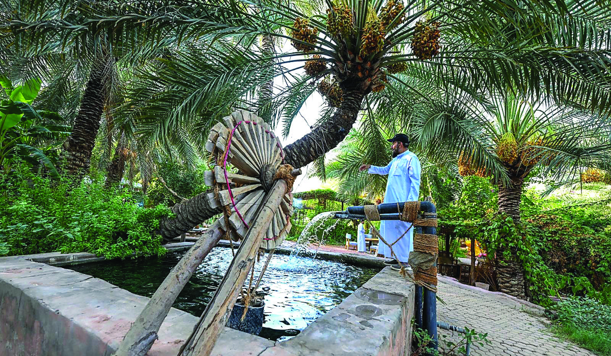 Visitors can immerse in a serene environment that reflects the richness of Hail’s landscape and heritage. (SPA)