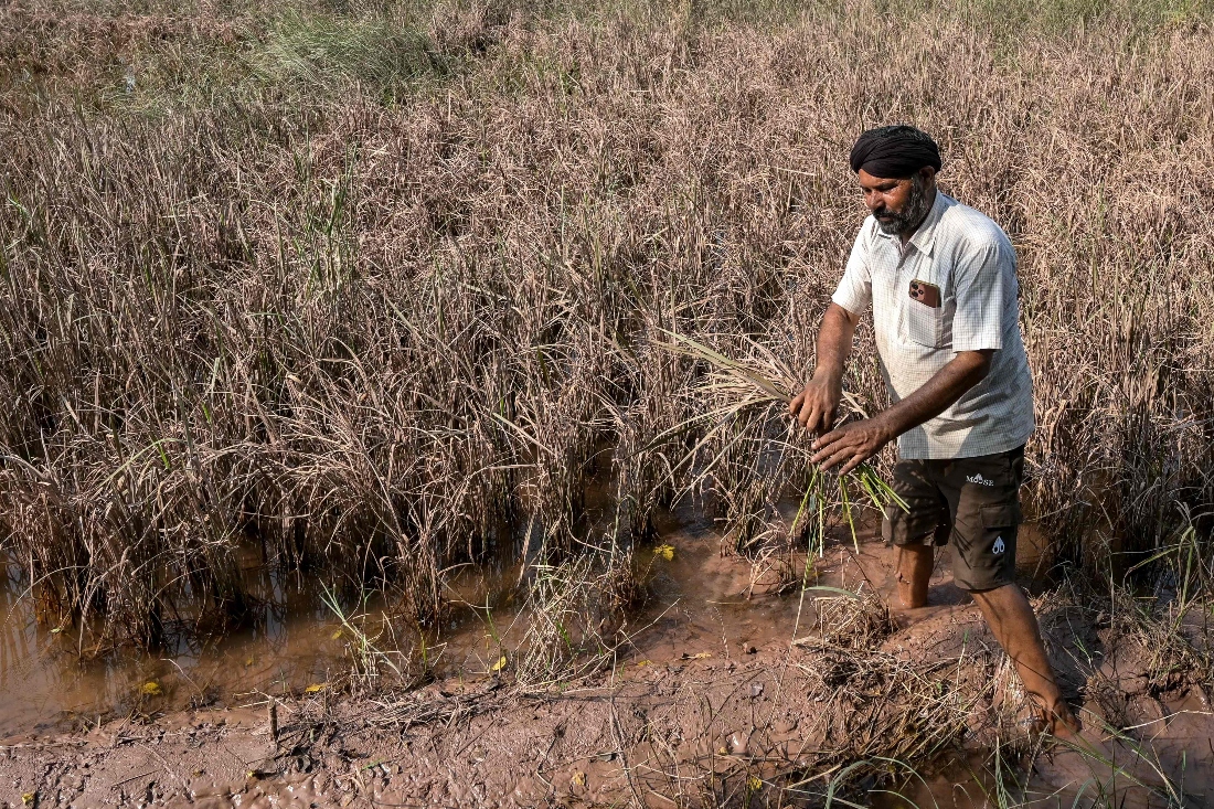 Floods devastate India’s breadbasket of Punjab