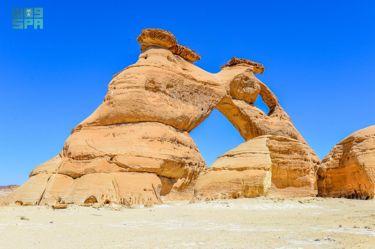 Mount Muhajjah is also surrounded by sand dunes, with desert plants such as arta, ramth, and various spring flora thriving in its low-lying pasturelands. (SPA)