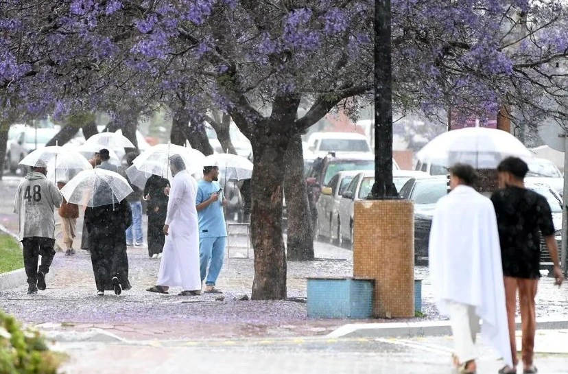 From Jeddah to Abha, Saudis turn to local escapes