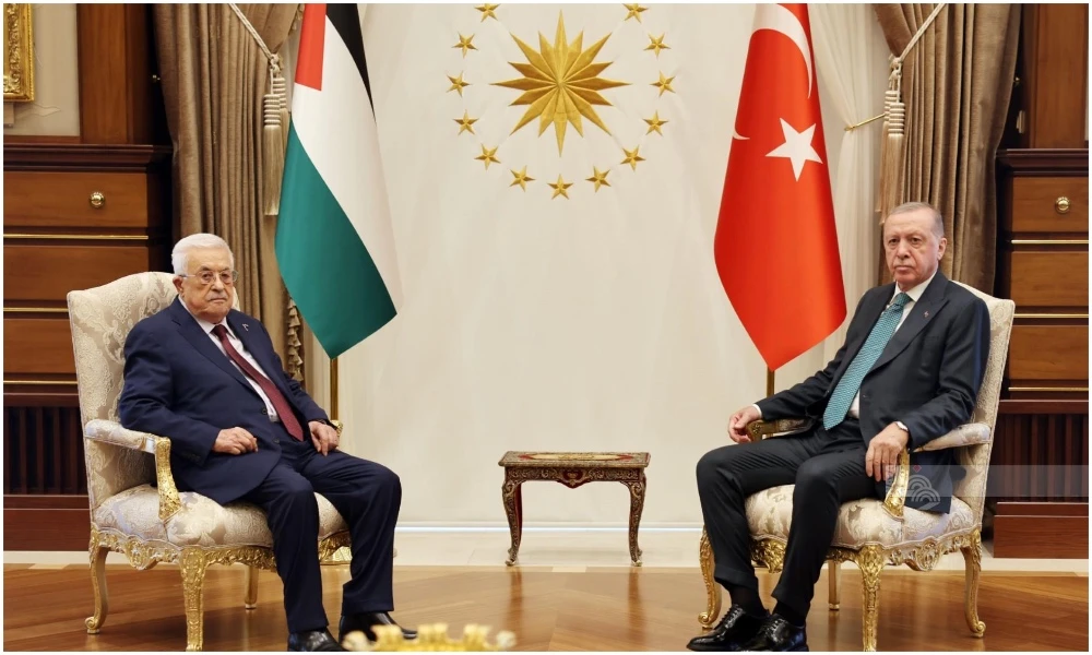 Turkish and Palestinian presidents discuss international recognition of Palestinian statehood at UN