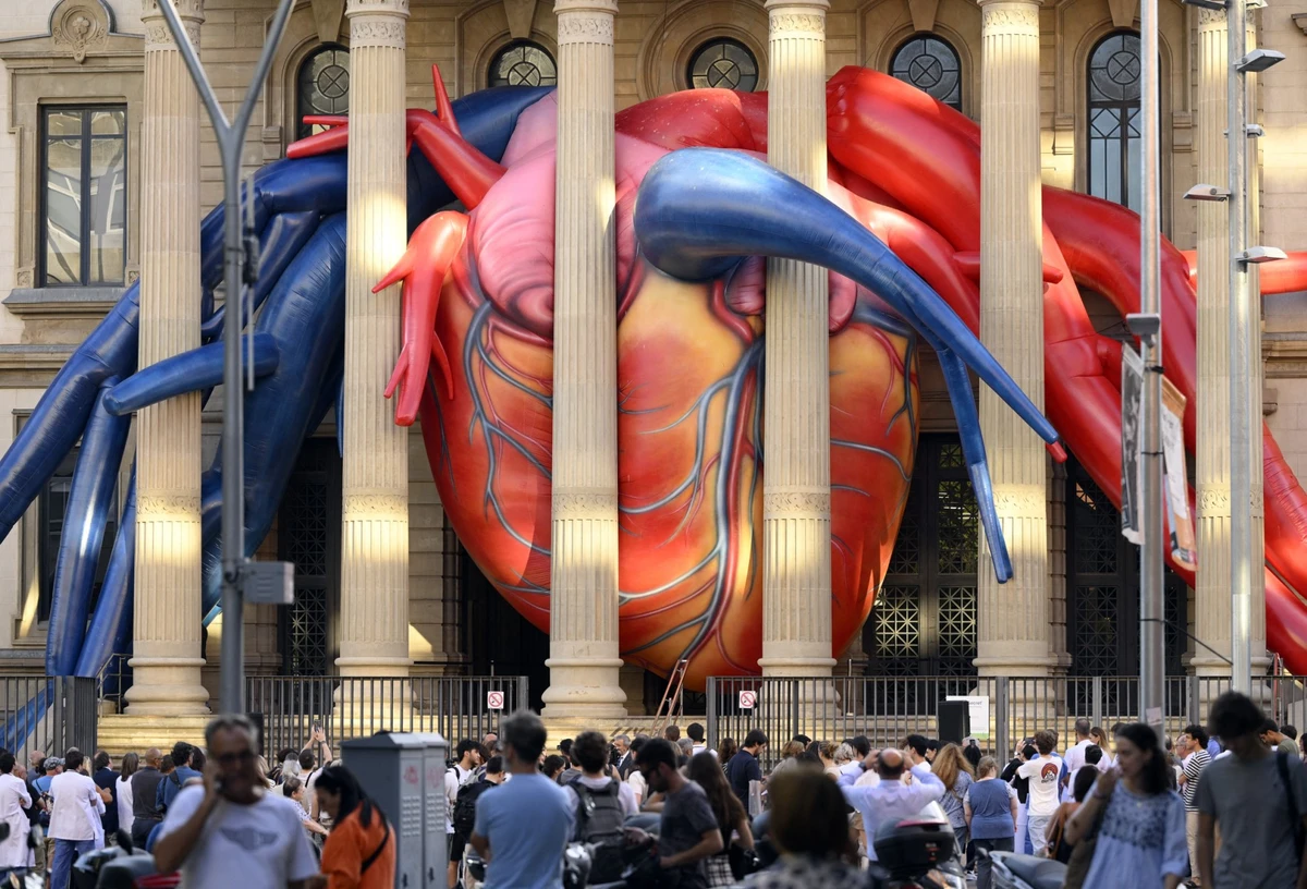 Currently, only 16 the 193 member states of the WHO have developed national strategies or action plans dedicated to heart health, most in Europe and the western Pacific, according to a WHF report. (AFP/File)