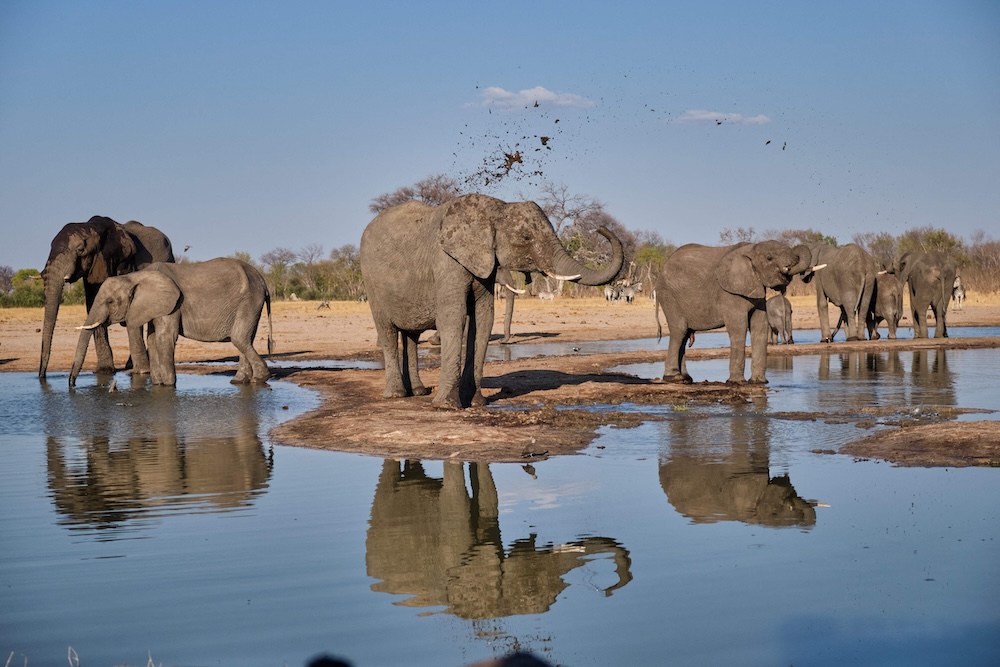 Most of Africa remains quite poor, with little access to energy beyond wood and hydro power. (AFP)