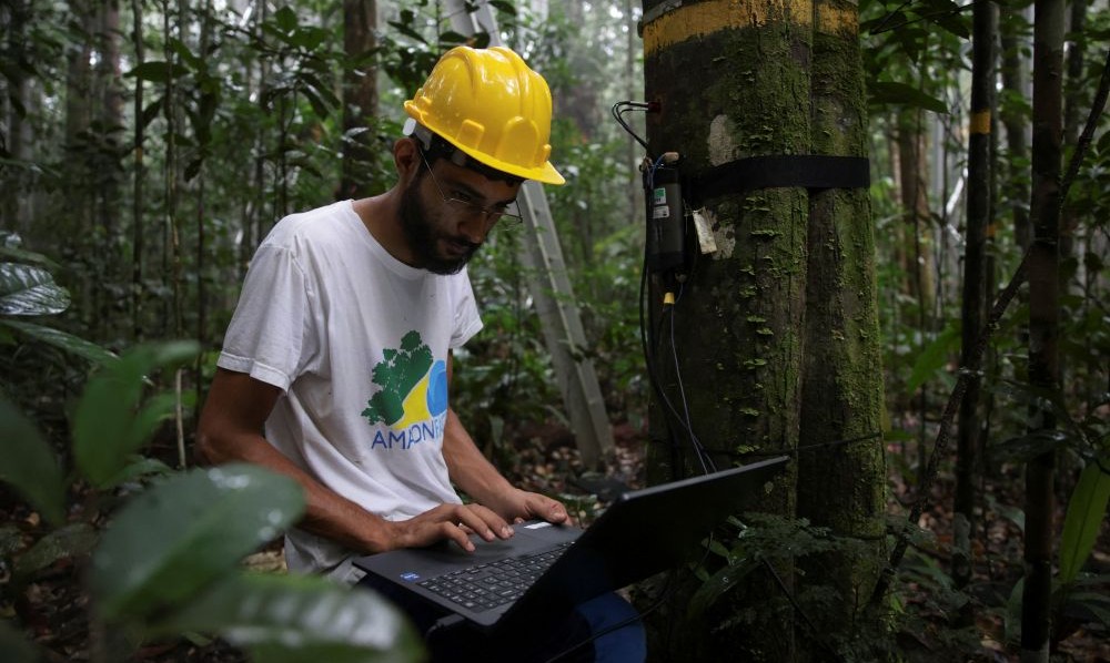 Researcher Gustavo Spanner works at the Amazon FACE research project in Manaus, Amazonas state, Brazil, May 14, 2025. (Reuters)