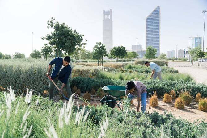 Saudi Arabia aims through the Saudi Green Initiative and Middle East Green Initiative to plant 10 billion trees in the Kingdom and 50 billion across the region. (SGI)