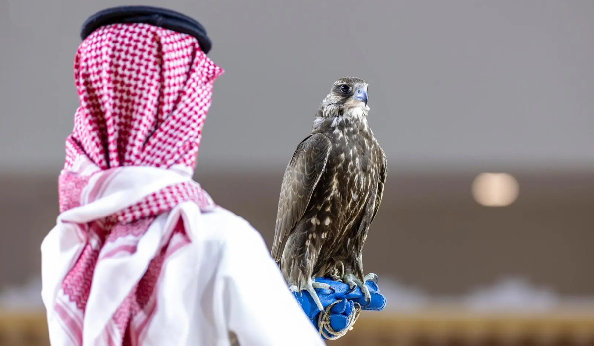 The auction of Mongolian falcons continued as part of the exhibition, where two falcons were sold for a total of SR778,000. (SPA)