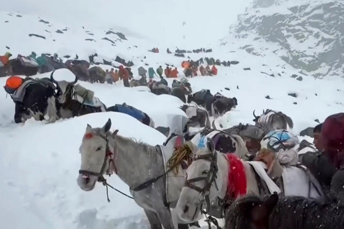 Above, villagers with their oxen and horses ascend the mountain during rescue efforts to reach hundreds of hikers trapped by heavy snow at tourist campsites on a slope of Mount Everest in Tibet on Oct. 5, 2025. (Lingsuiye via AP)