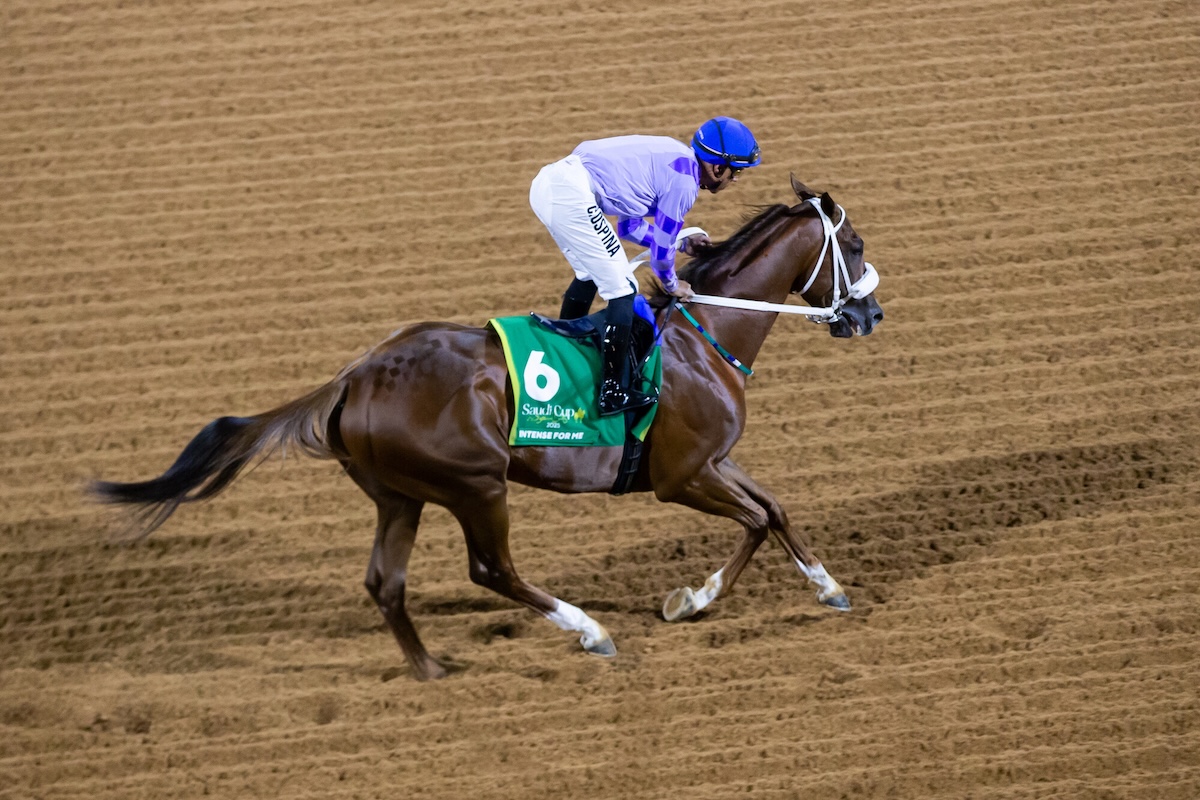 Argentine star Intense For Me makes first seasonal appearance in Riyadh