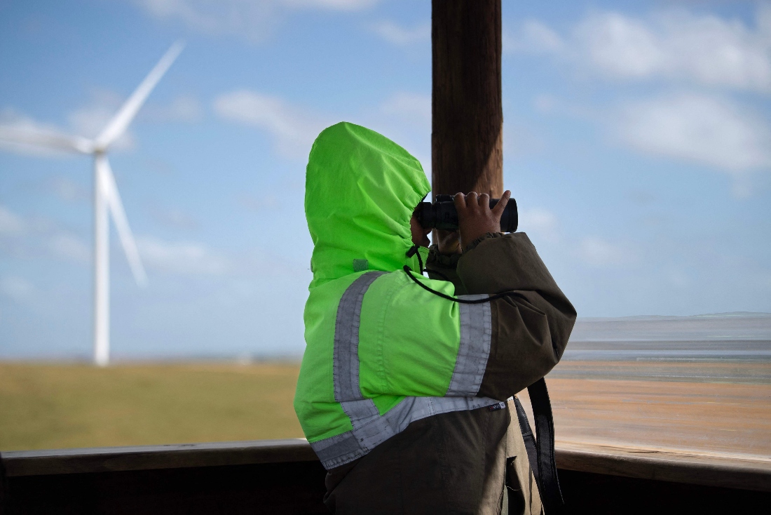 A bird monitor looks out for endangered birds close to the wind turbines at Excelsior Wind Farm near Swellendam, S Africa. (AFP)