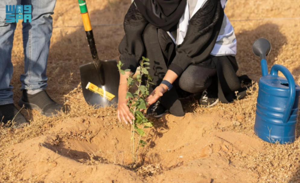 The National Greening Season 2025 has begun in Saudi Arabia, and aims to expand vegetation cover and reduce land degradation in the country. (File/SPA)