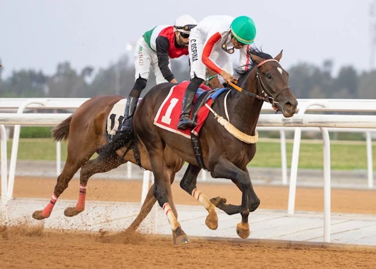 Aatakum wins in Taif on August 15, 2025. Credit: Jockey Club of Saudi Arabia / Ibrahim Almuzini