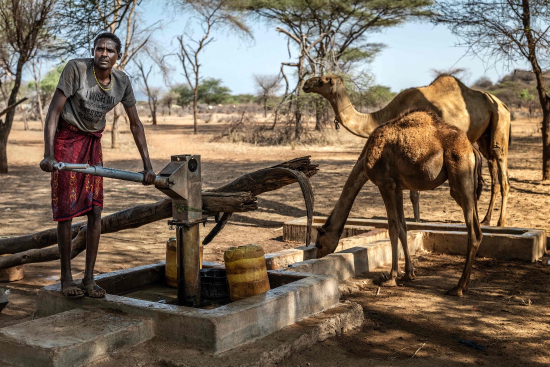 Samburu pastoralist Chapan Lolpusike, 35, pumps water from a well for some of his camels to drink before heading out to Sereolipi. (AFP)
