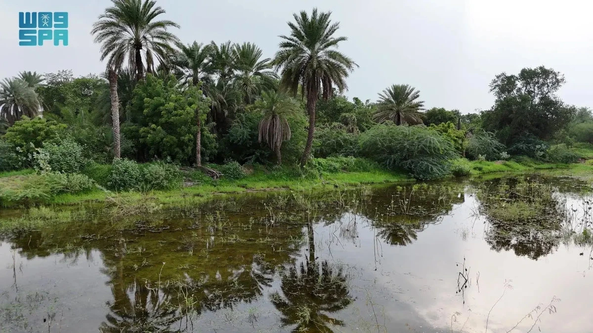 Jazan’s unique landscape and heritage