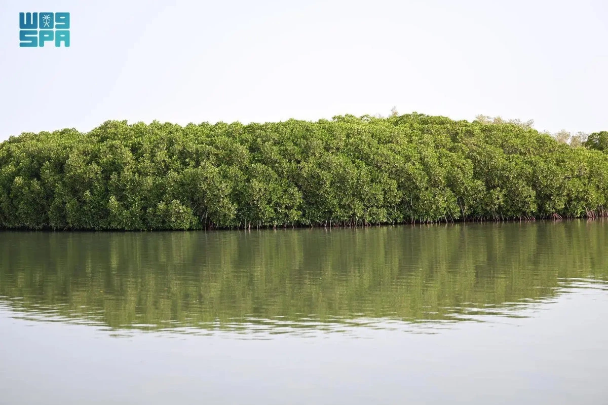 Jazan’s unique landscape and heritage